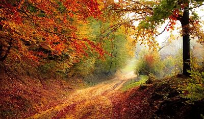 Automne et équinoxe en astrologie