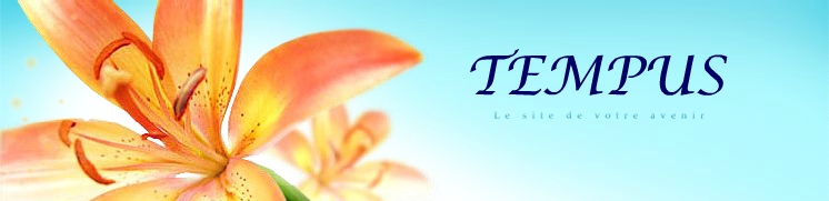 Tempus Voyance